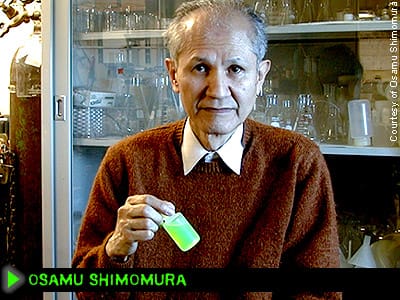 osamo-shimomura.jpg