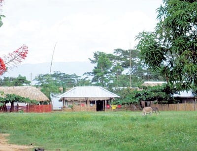 Lider indigena1