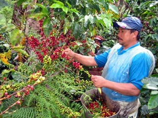 campesinos.jpg