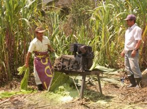 Fique-Cauca 2