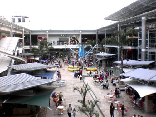 Palmetto Plaza Palmetto Plaza