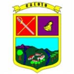 escudo-caloto.jpg