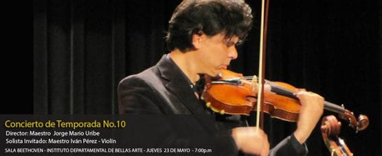 Violinista Violinista