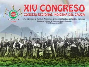 Consejo regional indigena web