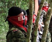 ELN1.jpg