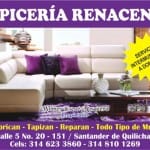 Tapiceria Renacence