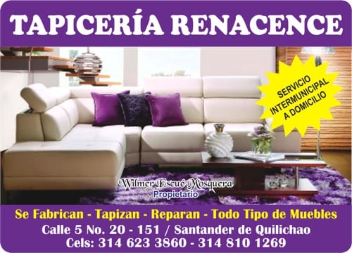 Tapiceria Renacence