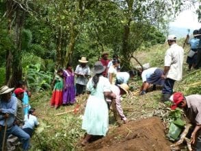 agricultores agricultores