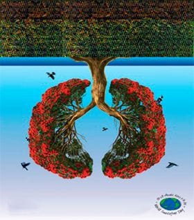 sin humo