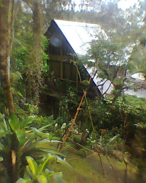 Doly 1