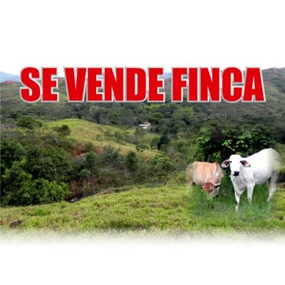 SE-VENDE-FINCA-CALOTO.jpg