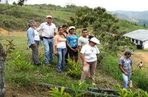 ecoaldea 3 ecoaldea 3