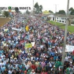 El articulado indígena y el importaculismo nacional