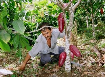 Agro_6.jpg