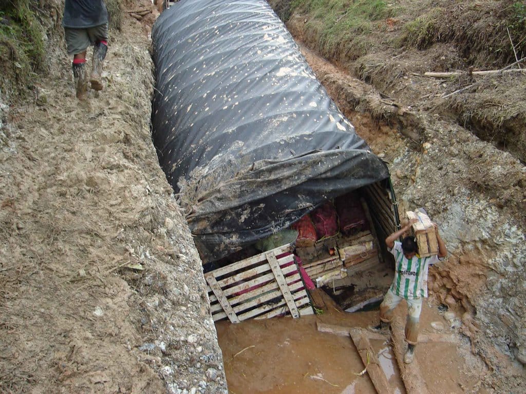 barbacoas nariño