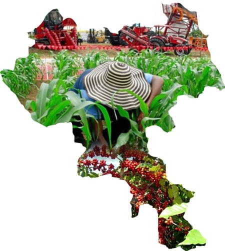 Cauca-Agro.jpg