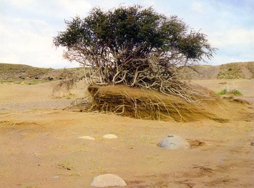Desierto