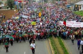 Minga-indígena.jpg
