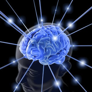 brain.jpg