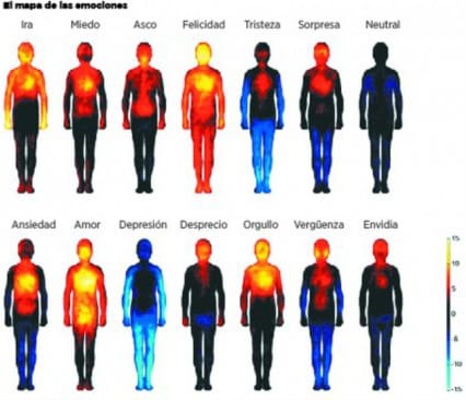 como reacciona el cuerpo como reacciona el cuerpo
