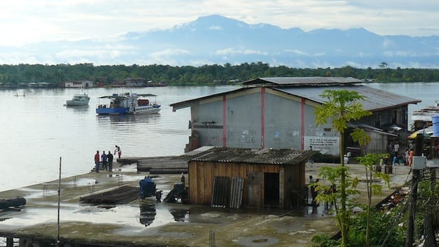 muellerioguapi.jpg