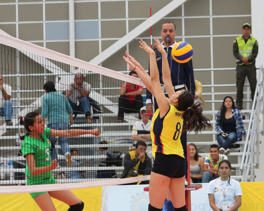 archivo-suramericano-2013.jpg