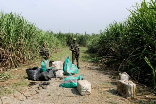 Marihuana-Sitio.jpg