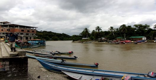 Pacifico-caucano-3.jpg