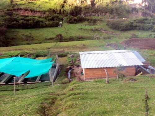 Vereda-La-Peña-Totoró.jpg