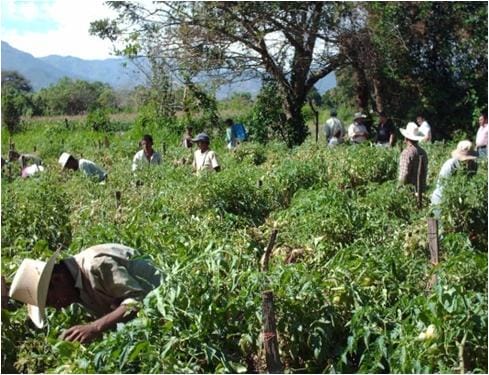desarrollo-rural.jpg