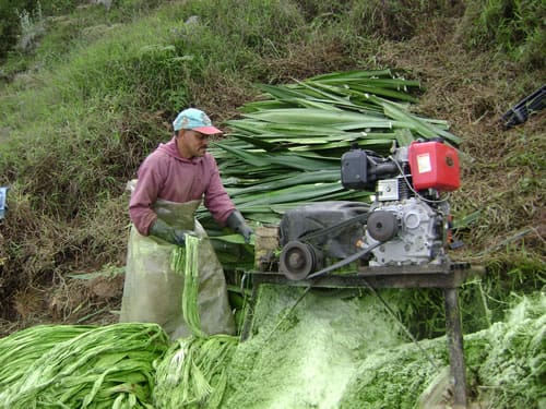 Empaques del Cauca entra en liquidación tras 60 años
