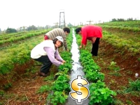 Ley-de-Financiamiento-para-el-Agro.jpg