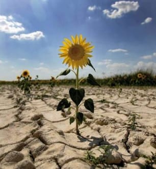 cambio-climático.jpg