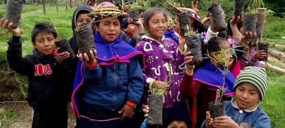 jornada_ambiental