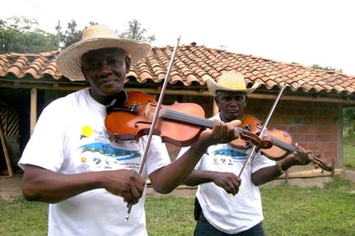 violines negros foto de protada de articulo