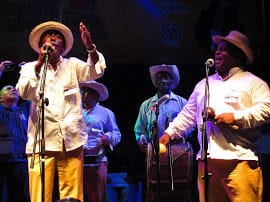 Zonal-violines-5.jpg