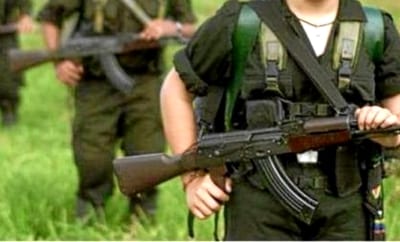 2-guerrilleros-desmovilizados-en-el-norte-del-Cauca.jpg