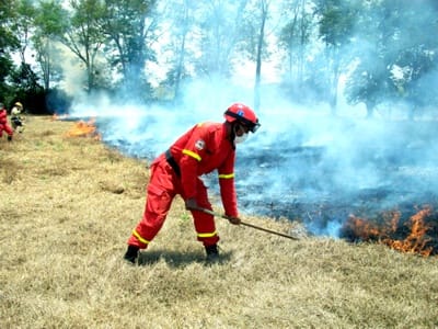 Incendios-Forestales-Bomberos-Voluntarios-de-Santander-de-Quilichao.jpg