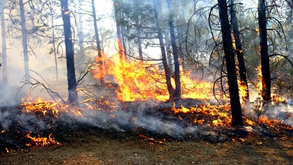 Incendios-en-el-Cauca.jpg