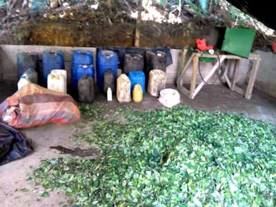 Laboratorio-de-coca-en-Suárez.jpg