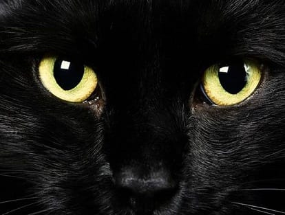 SUPERSTICIONES SUPERSTICIONES