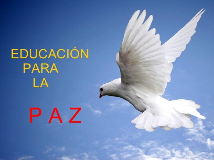 educacin-para-la-paz-miniquest-1-728.jpg
