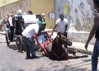 Caballo-cochero-muere.jpg