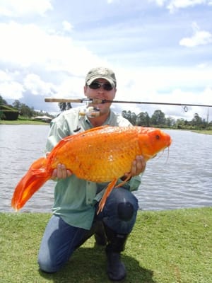 Pesca deportiva en Quilichao Pesca deportiva en Quilichao