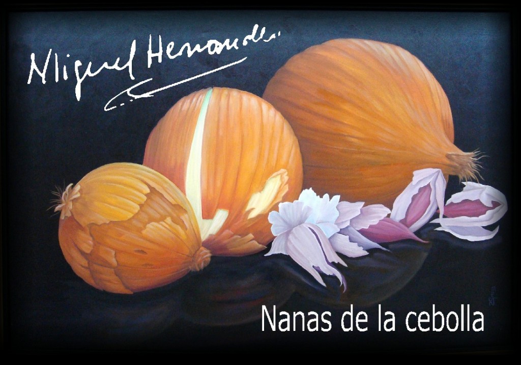 nanas de la cebolla