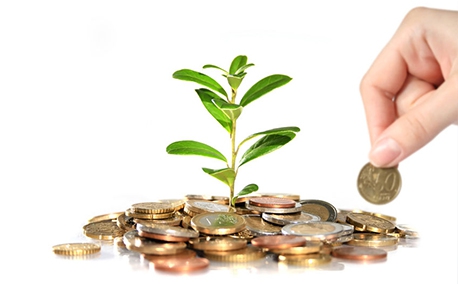 Economía Vs Medio Ambiente