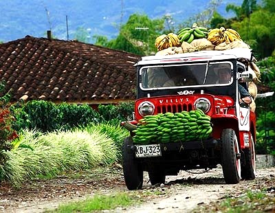 Economía-campesina-caucana.jpg
