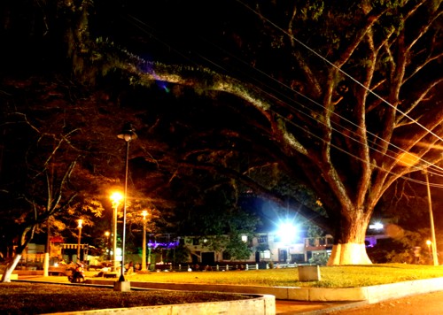 Así lució Santander de Quilichao, el día de las velitas