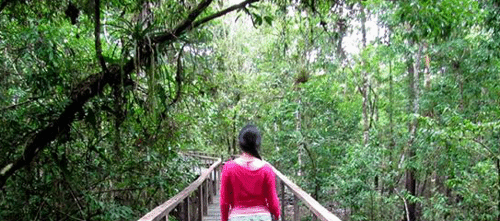 mujer-solitaria.gif