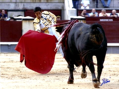 Toros - Popayán Toros - Popayán